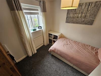 Picture 24
